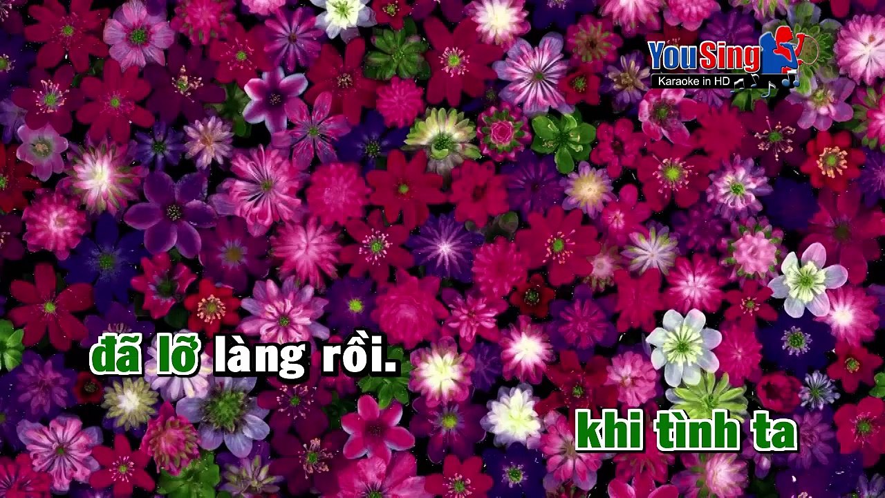 Karaoke-Đành Lòng Sao Em_Đoàn Việt Phương