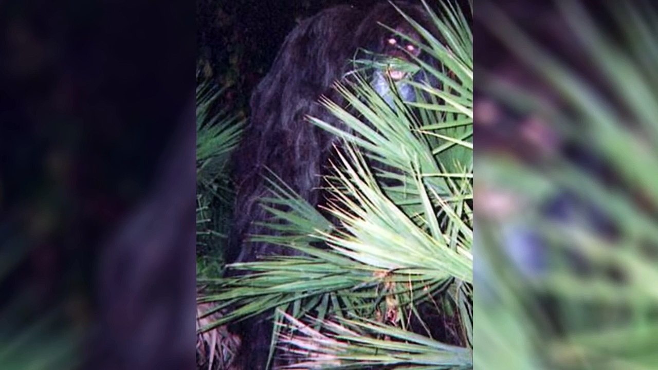 Top 10 Mysterious Photos That Should Not Exist