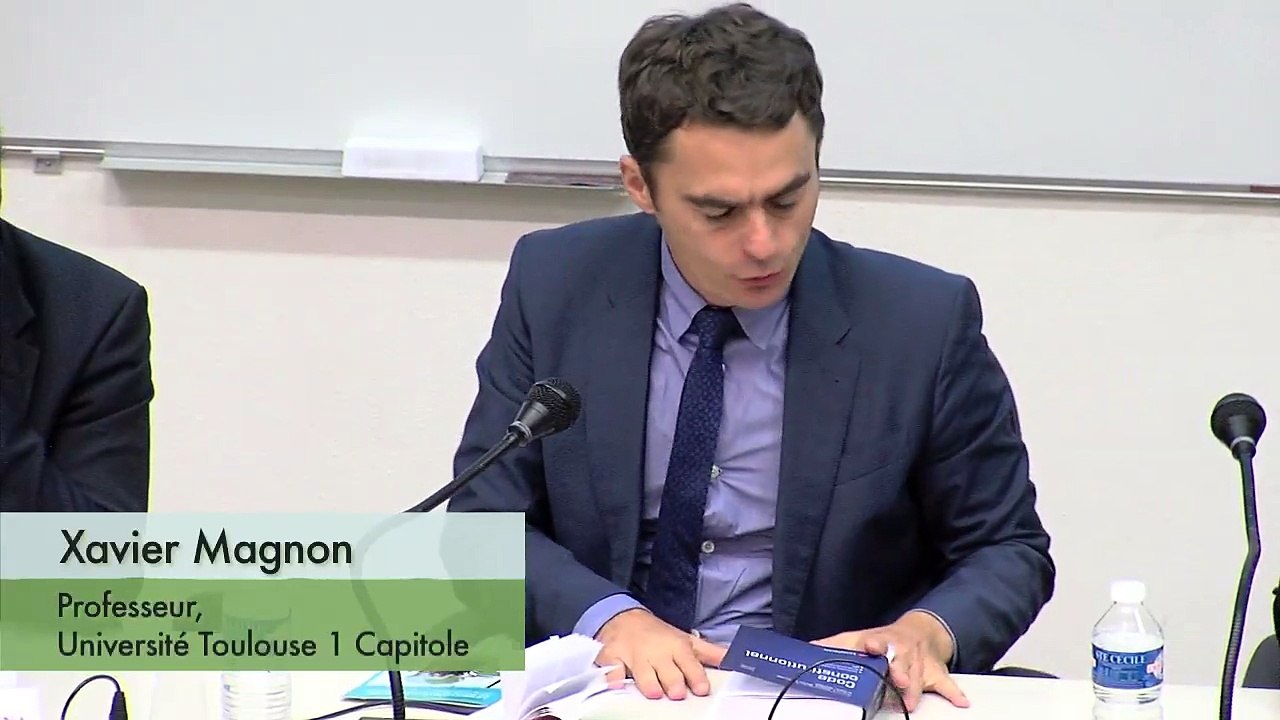 IEJUC-SFDE_"Le droit d'accès à la justice en matière d'environnement"-03-"L'accès à la justice dans la théorie générale du droit", Xavier Magnon, Professeur, Université Toulouse 1 Capitole