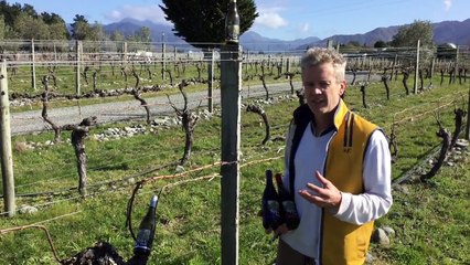 Spice Trail Wines from Lake Chalice – A Toast For Party