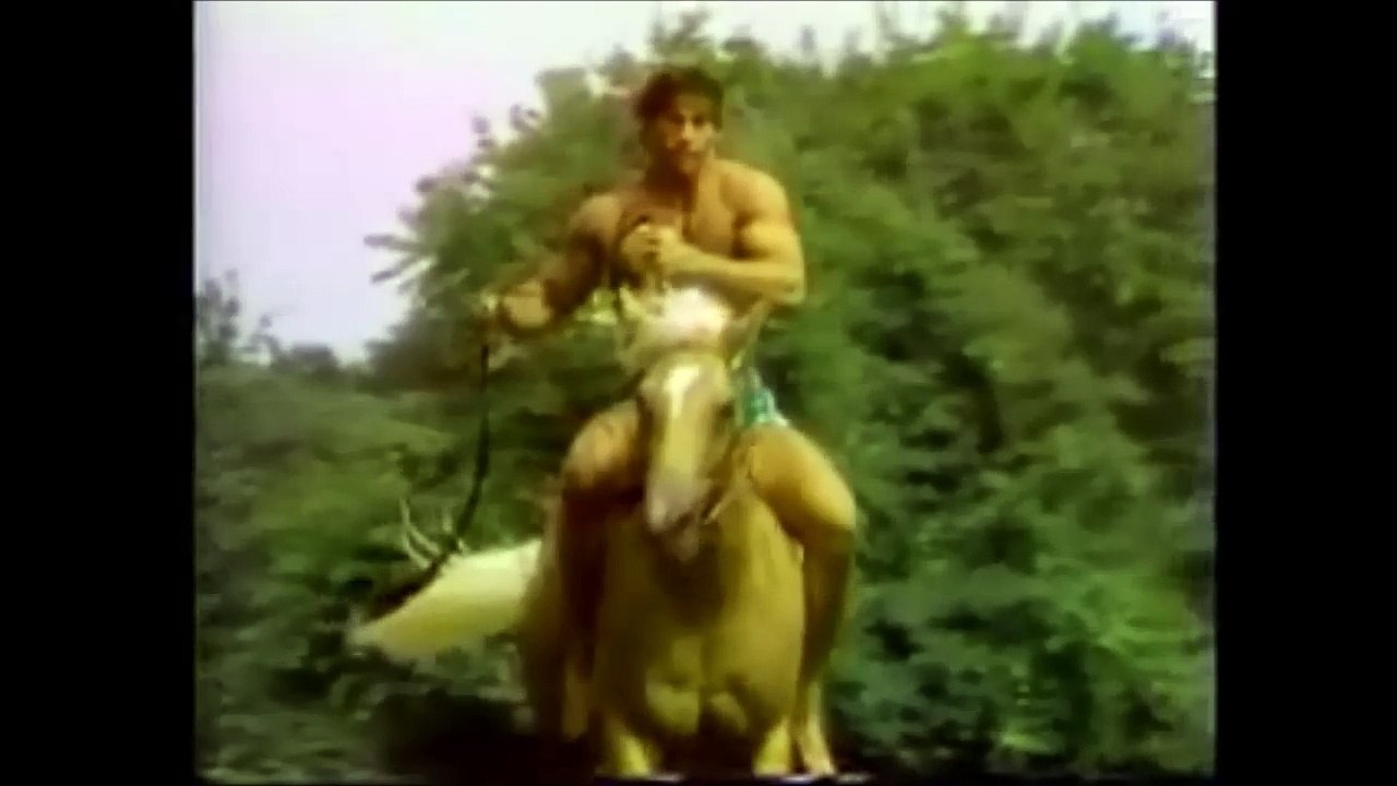Horse Kev