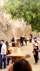 Harimau ditumbuk pekerja pusat hidupan liar di Thailand