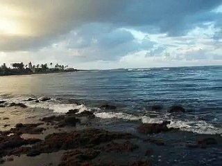 North Shore Beach House Rentals