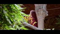 Fitoor Official Trailer Aditya Roy Kapur Katrina Kaif Tabu