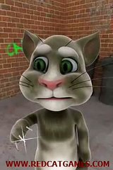 Котик - Прикол. Веселая песенка - мультик.