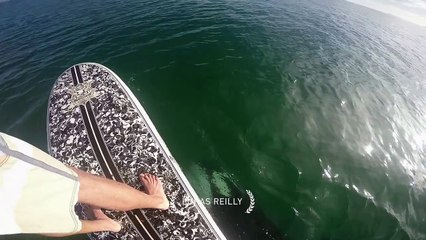 Paddle Boarder Has Close Encounter with an Orca