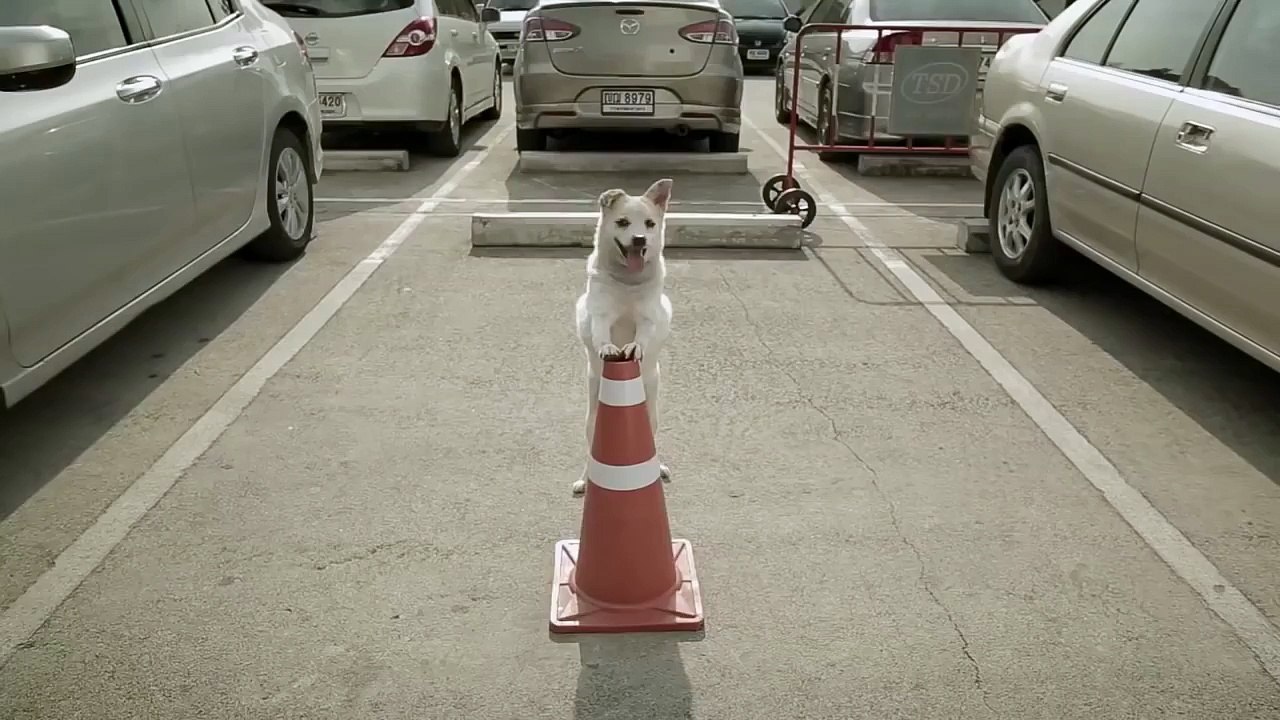 Отличный ролик о добре и о том что добро всегда возвращается