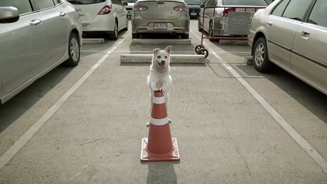 Отличный ролик о добре и о том что добро всегда возвращается