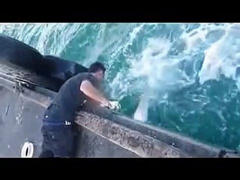 Парень поймал огромную рыбу