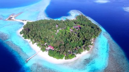 Прекрасные Мальдивы в 4К!