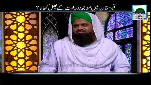 Qabristan Main Mujood Darakht Kay Phal Khana - Darul Ifta Ahlesunnat