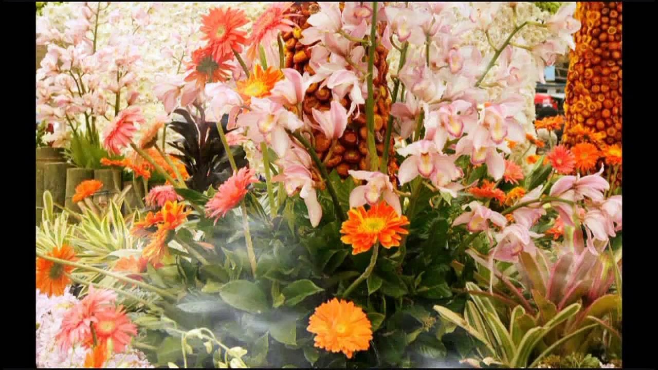 জানি না কত সুন্দর তুমি আল্লাহ! -Bangla Islamic song