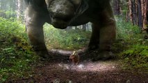 Walking With Dinosaurs  Dino Files Armored Ankylosaurs  20th Century FOX