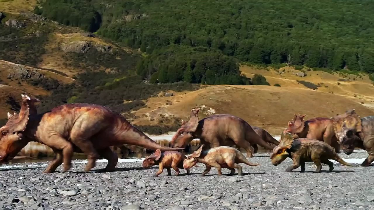 Walking With Dinosaurs  Dino Files Dino Sized  20th Century FOX