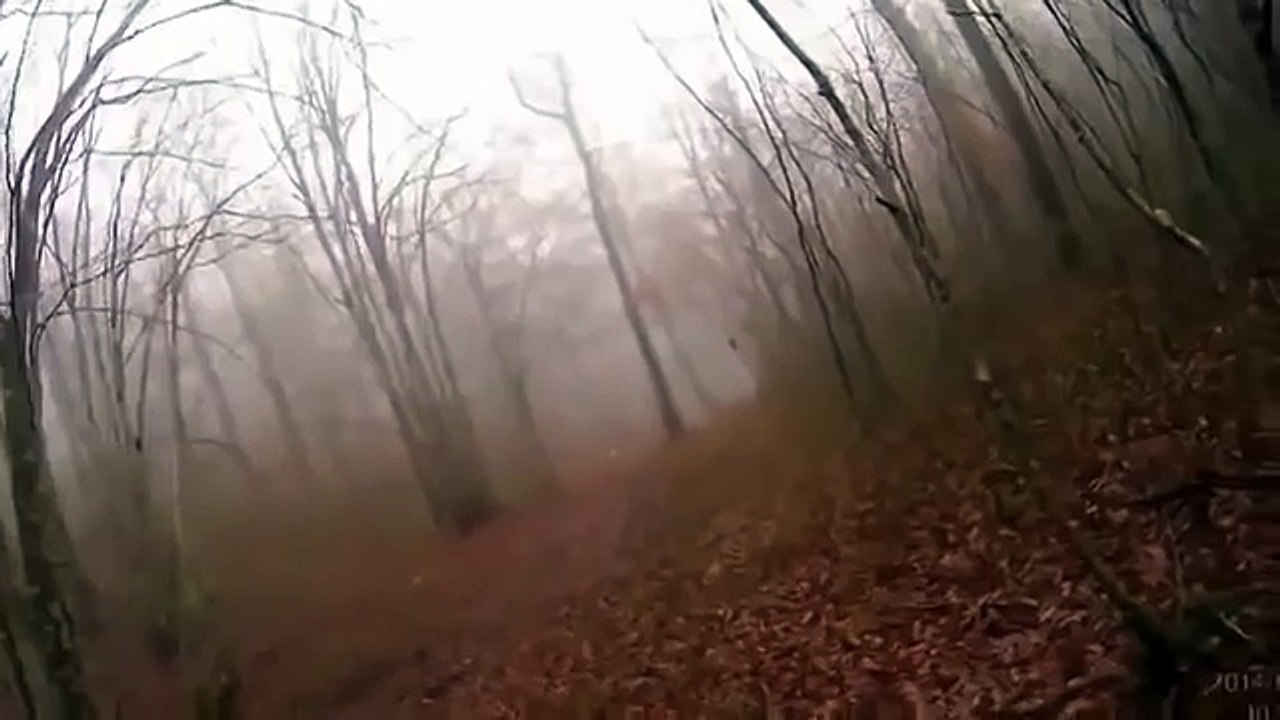 прикол! ОХОТА на кабана