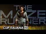 Maze Runner - Il labirinto Clip Ufficiale Italiana 'Fight' (2014) - Thomas Sangster Movie HD