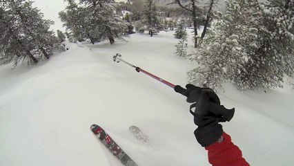 Belle matinée - 27 février 2014