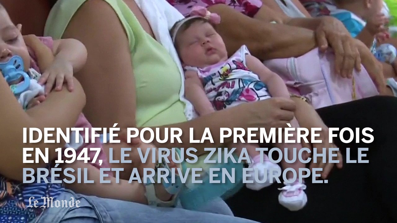 Le virus Zika aux portes de l'Europe