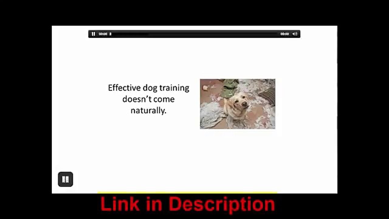 Kingdom Of Pets Dog Obedience Training Review - Stop Your Dog's Behavior Problems