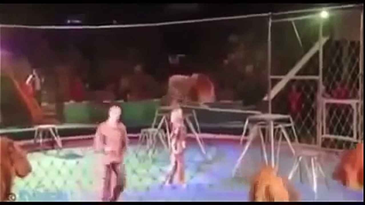Extreme animal attacks on humans