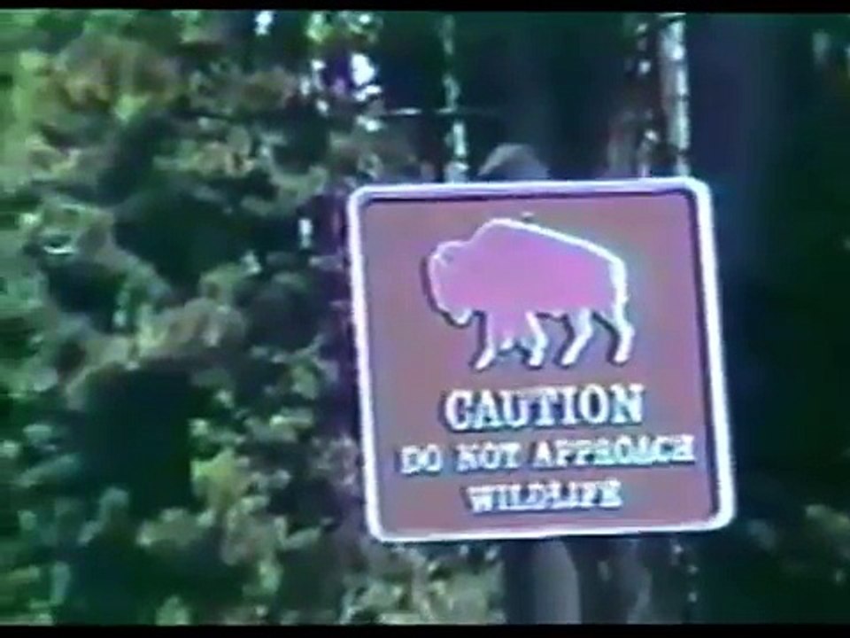 Animals attack : Jaguar-Bear-Lion -Gaur attack on human