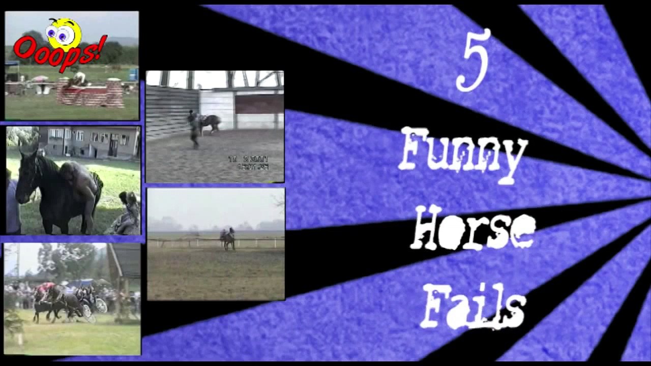 Funny Animals   Funniest HORSE Riding Falls