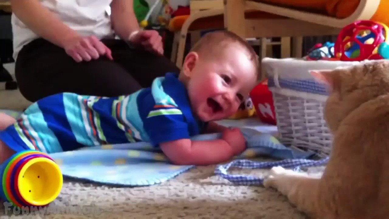 Funny Animals   Funny babies   Funny Video   Best Compilation