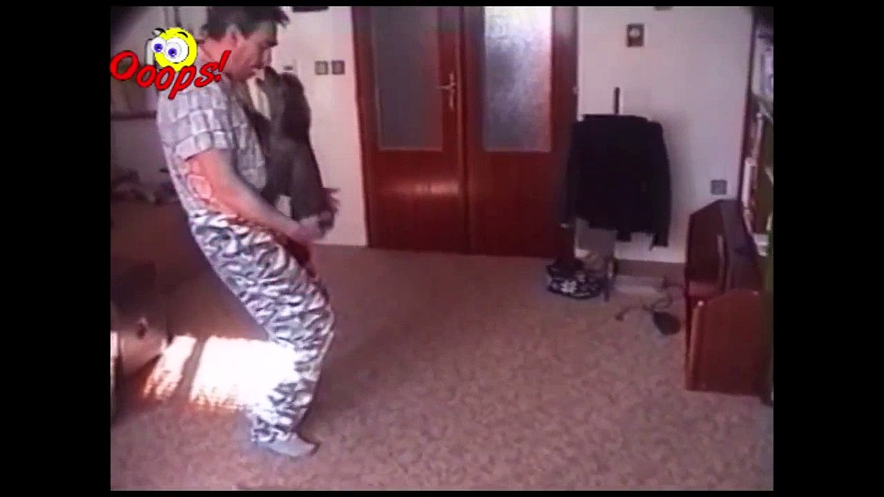 Funny Animals   Funny Animals Caught on Tape