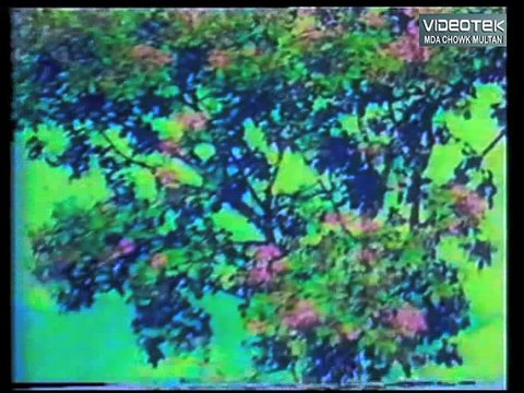 Piya Ray Piya - Aao Pyar Karen - Original DvD Noor Jehan in 70s Vol. 1