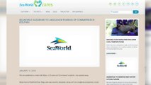SeaWorld kills another Commersons dolphin by transferring it from San Diego to Orlando -