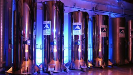 LA NIÑA DE DOS AÑOS QUE FUE CONGELADA PARA SER SALVADA (LA CRIONICA)