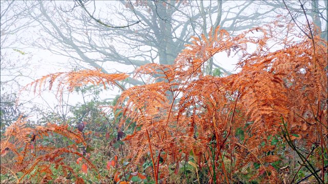 11 ★ 2015 la Matheysine en Méli-Mélo
