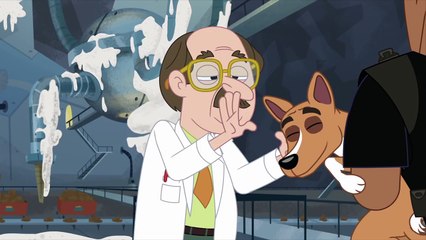 Pound Puppies - Theres a Pup For Every Person!