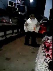 Funny video very intresting video