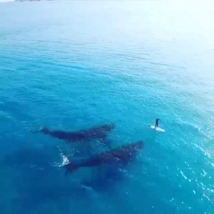 Western Australia