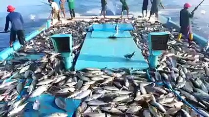 Fast and Furious Fishing in Mid of Sea( non stop fishing)