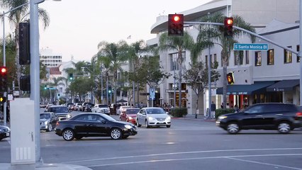 Sasha's Bloc - The Duke