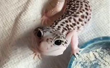 When you meet your friends family for the first time