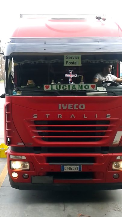 professional truck driver