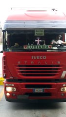 professional truck driver