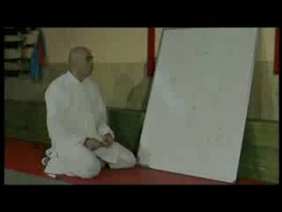 BAGUA ZHANG LA PAUME DES 8 TRIGRAMMES Vol. 2 BA MU ZHANG