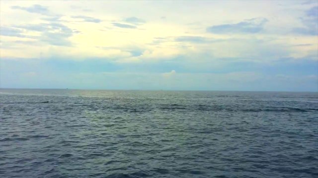 Это просто чудо ! СМОТРИТЕ ДО КОНЦА