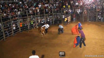HUMOR EN EL JARIPEO DIVERTIDO PARTIDO DE FUTBOL CON UN TORO MONTA Y CAIDAS GRACIOSAS EN EL LIENZO CHARRO ENERO 2016