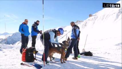 A Montgenèvre, les vrais héros sont les chiens