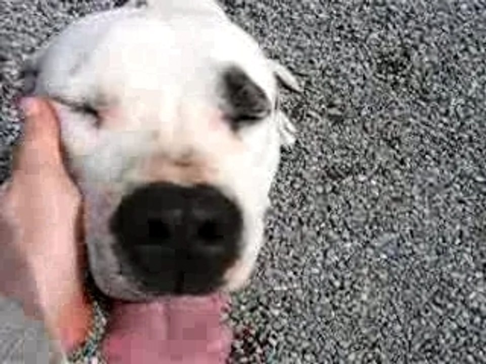 Max