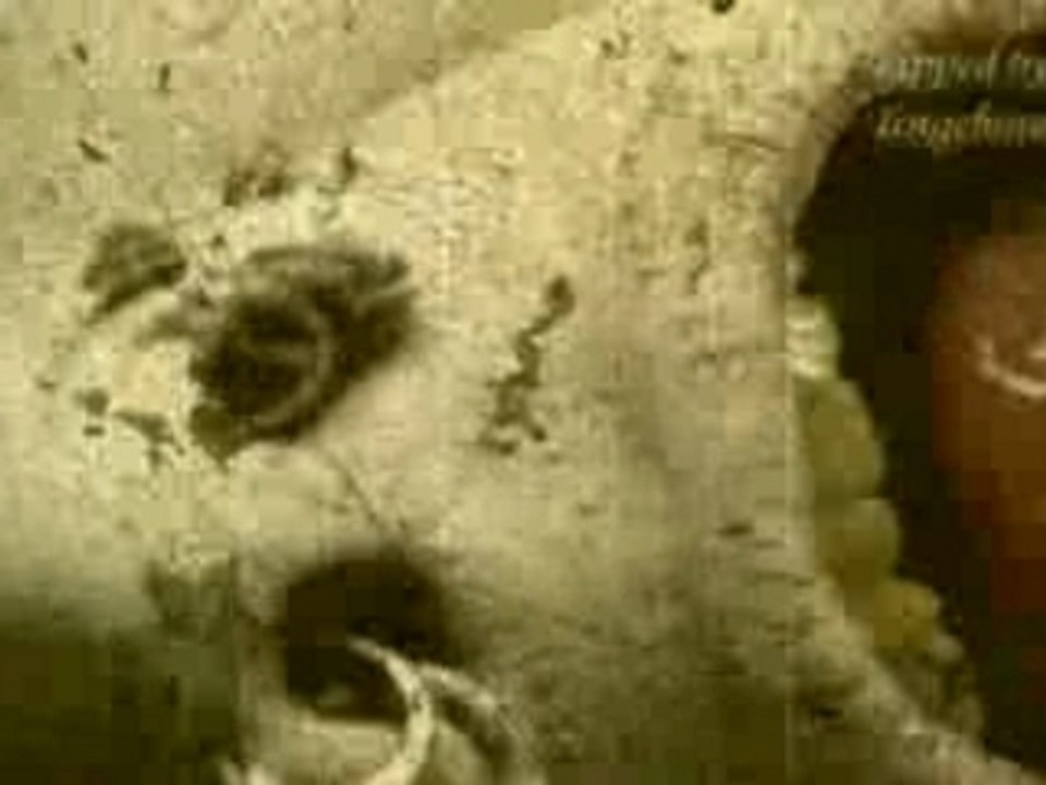 Sopor Aeternus - La Chambre D'Echo