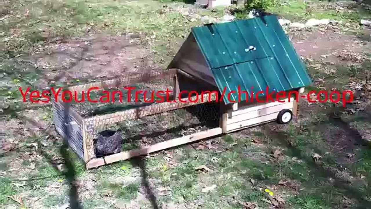 Building A Chicken Coop Review
