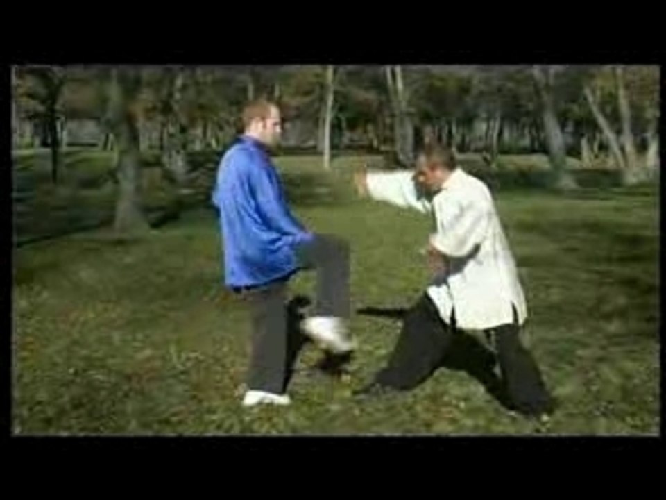 TAIJI QUAN LE CIEL LA FORME ANCIENNE DE L'ECOLE YANG