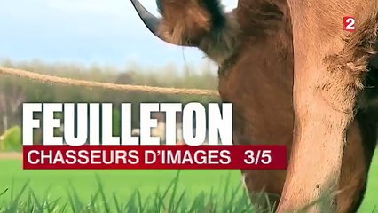 Feuilleton : chasseurs d'images (3/5)