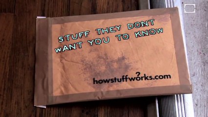 The Mafia: Modern Scandals